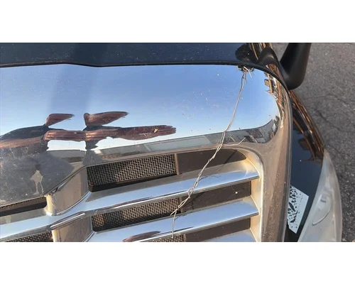 FREIGHTLINER CASCADIA 125 HOOD