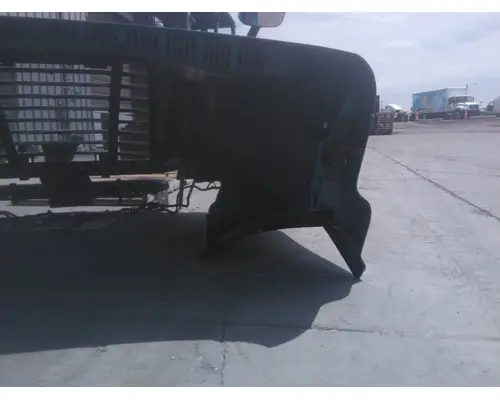 FREIGHTLINER CASCADIA 125 HOOD