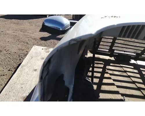 FREIGHTLINER CASCADIA 125 HOOD