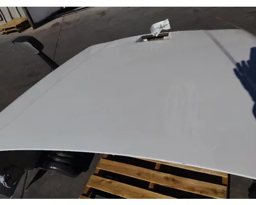 FREIGHTLINER CASCADIA 125 HOOD