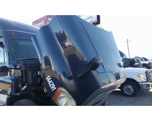 FREIGHTLINER CASCADIA 125 HOOD