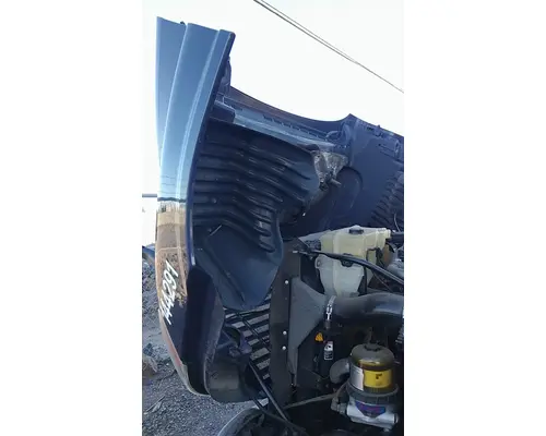 FREIGHTLINER CASCADIA 125 HOOD