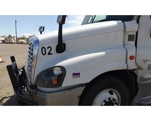FREIGHTLINER CASCADIA 125 HOOD