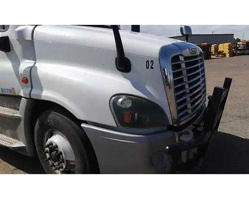 FREIGHTLINER CASCADIA 125 HOOD