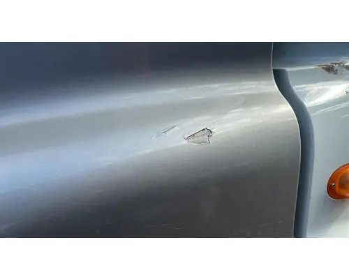 FREIGHTLINER CASCADIA 125 HOOD