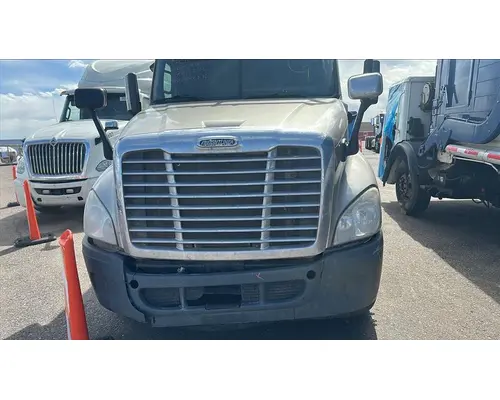 FREIGHTLINER CASCADIA 125 HOOD