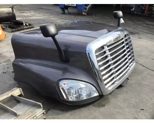 FREIGHTLINER CASCADIA 125 HOOD