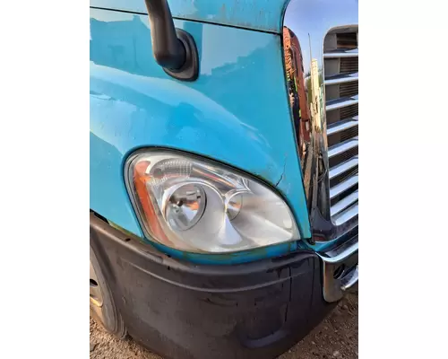 FREIGHTLINER CASCADIA 125 HOOD