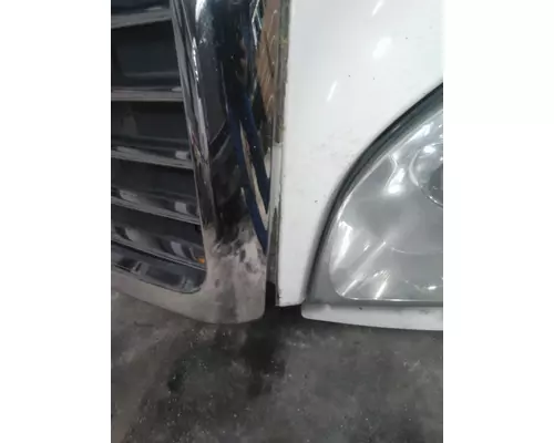 FREIGHTLINER CASCADIA 125 HOOD