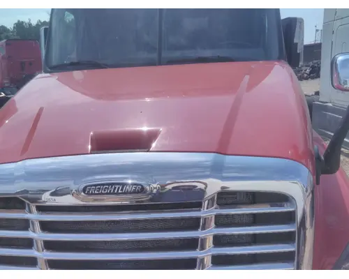 FREIGHTLINER CASCADIA 125 HOOD