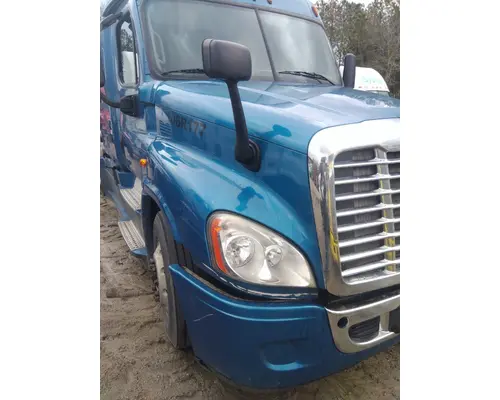 FREIGHTLINER CASCADIA 125 HOOD