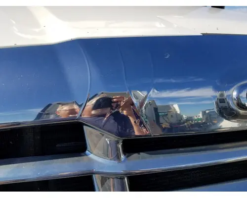 FREIGHTLINER CASCADIA 125 HOOD