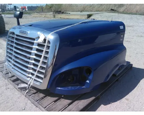 FREIGHTLINER CASCADIA 125 HOOD