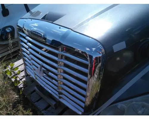 FREIGHTLINER CASCADIA 125 HOOD