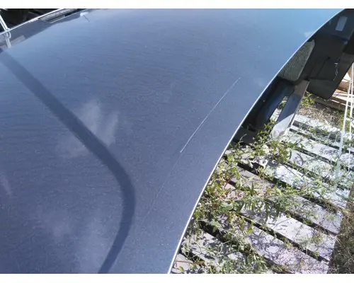 FREIGHTLINER CASCADIA 125 HOOD