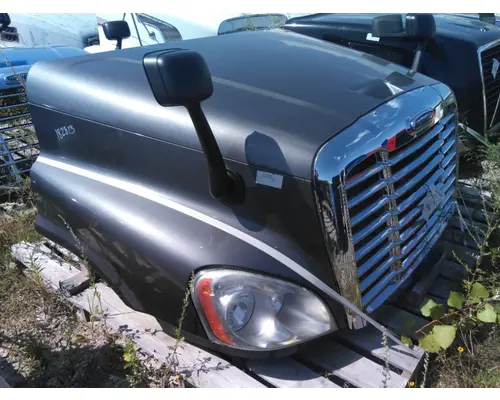 FREIGHTLINER CASCADIA 125 HOOD