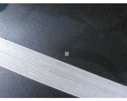 FREIGHTLINER CASCADIA 125 HOOD