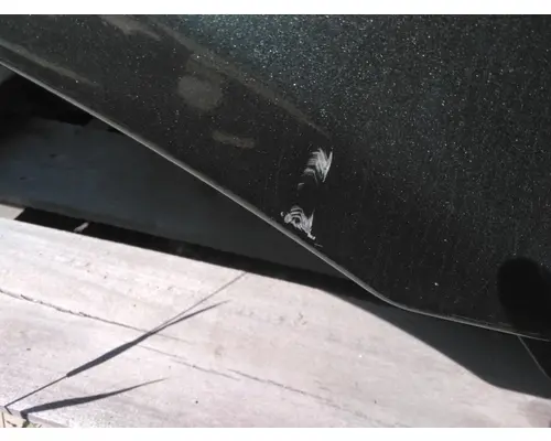 FREIGHTLINER CASCADIA 125 HOOD