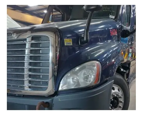 FREIGHTLINER CASCADIA 125 HOOD