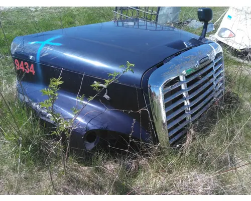 FREIGHTLINER CASCADIA 125 HOOD