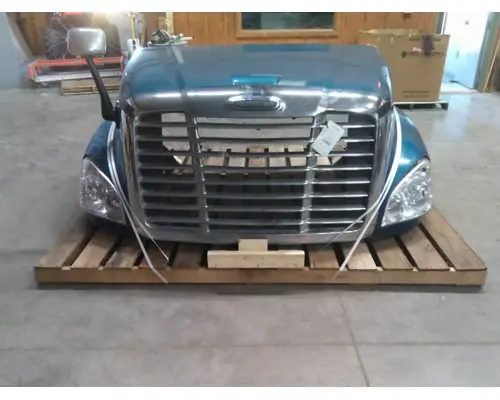 FREIGHTLINER CASCADIA 125 HOOD