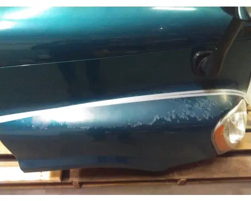 FREIGHTLINER CASCADIA 125 HOOD