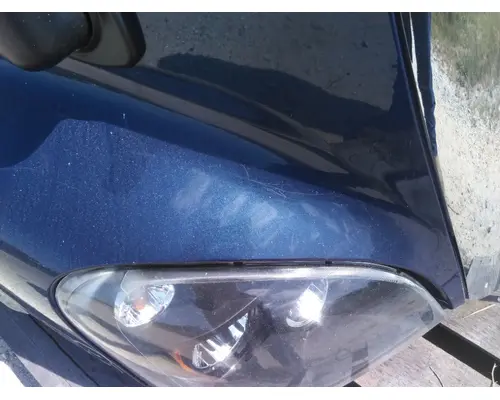 FREIGHTLINER CASCADIA 125 HOOD