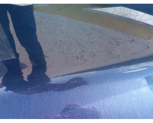 FREIGHTLINER CASCADIA 125 HOOD