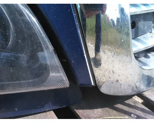 FREIGHTLINER CASCADIA 125 HOOD