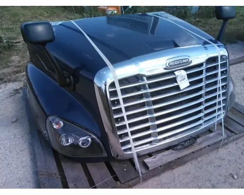 FREIGHTLINER CASCADIA 125 HOOD