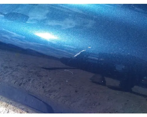 FREIGHTLINER CASCADIA 125 HOOD