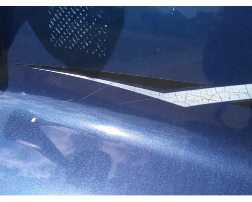 FREIGHTLINER CASCADIA 125 HOOD