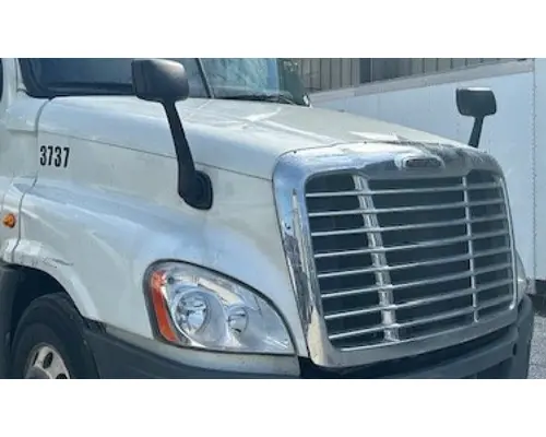 FREIGHTLINER CASCADIA 125 HOOD