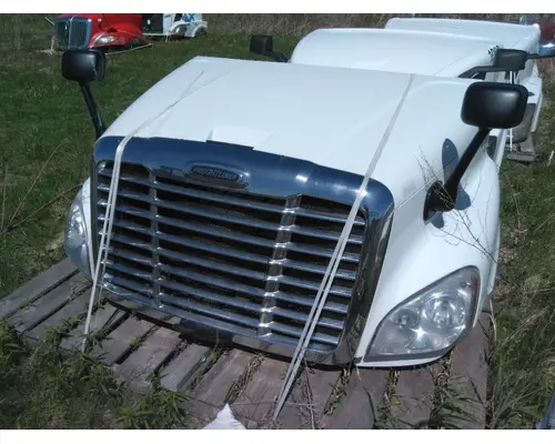 FREIGHTLINER CASCADIA 125 HOOD