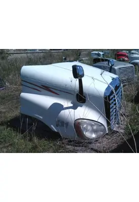 FREIGHTLINER CASCADIA 125 HOOD