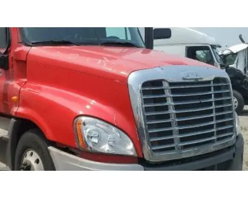 FREIGHTLINER CASCADIA 125 HOOD