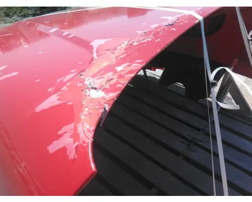 FREIGHTLINER CASCADIA 125 HOOD