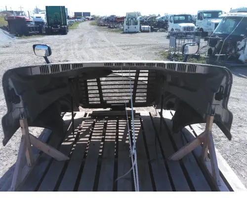 FREIGHTLINER CASCADIA 125 HOOD