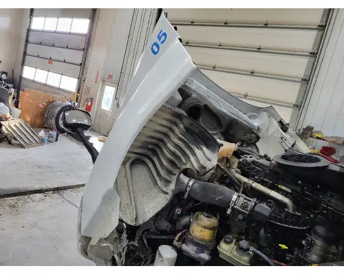 FREIGHTLINER CASCADIA 125 HOOD