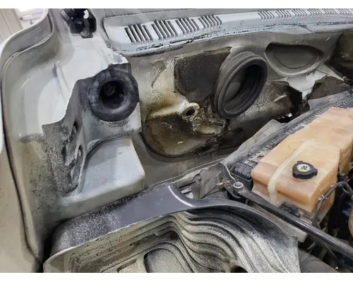 FREIGHTLINER CASCADIA 125 HOOD