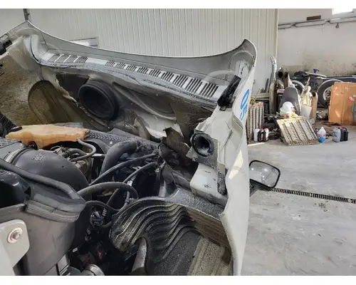 FREIGHTLINER CASCADIA 125 HOOD