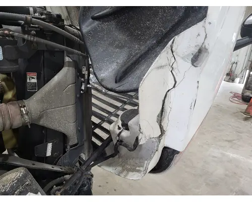 FREIGHTLINER CASCADIA 125 HOOD