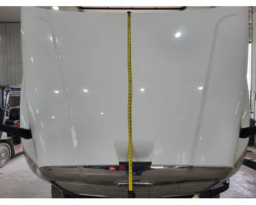 FREIGHTLINER CASCADIA 125 HOOD