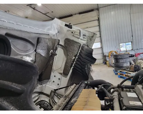 FREIGHTLINER CASCADIA 125 HOOD