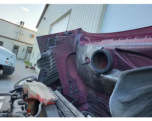 FREIGHTLINER CASCADIA 125 HOOD