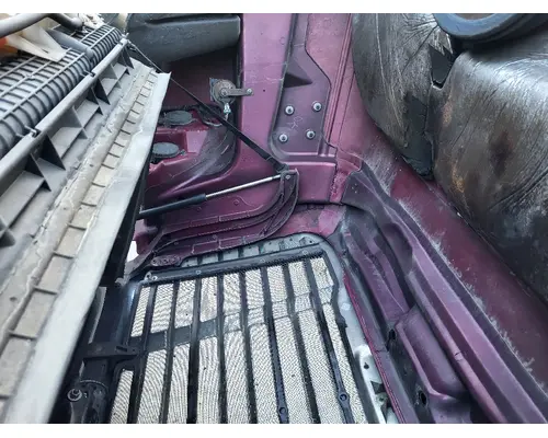 FREIGHTLINER CASCADIA 125 HOOD