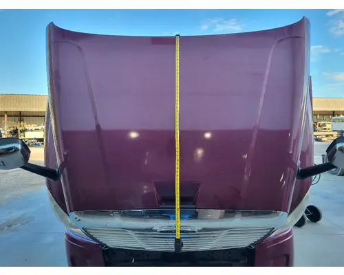 FREIGHTLINER CASCADIA 125 HOOD