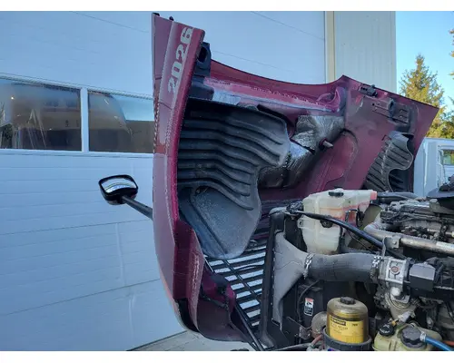 FREIGHTLINER CASCADIA 125 HOOD