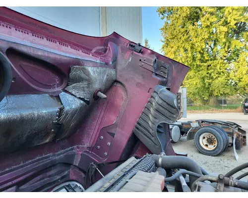 FREIGHTLINER CASCADIA 125 HOOD