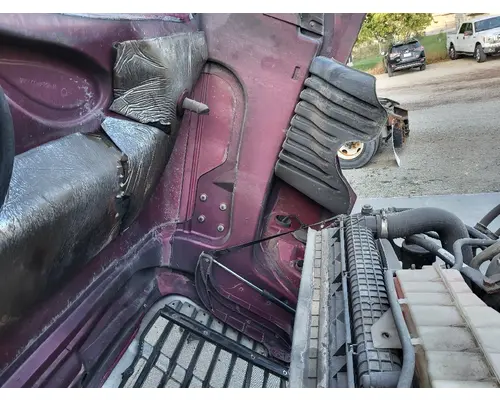 FREIGHTLINER CASCADIA 125 HOOD